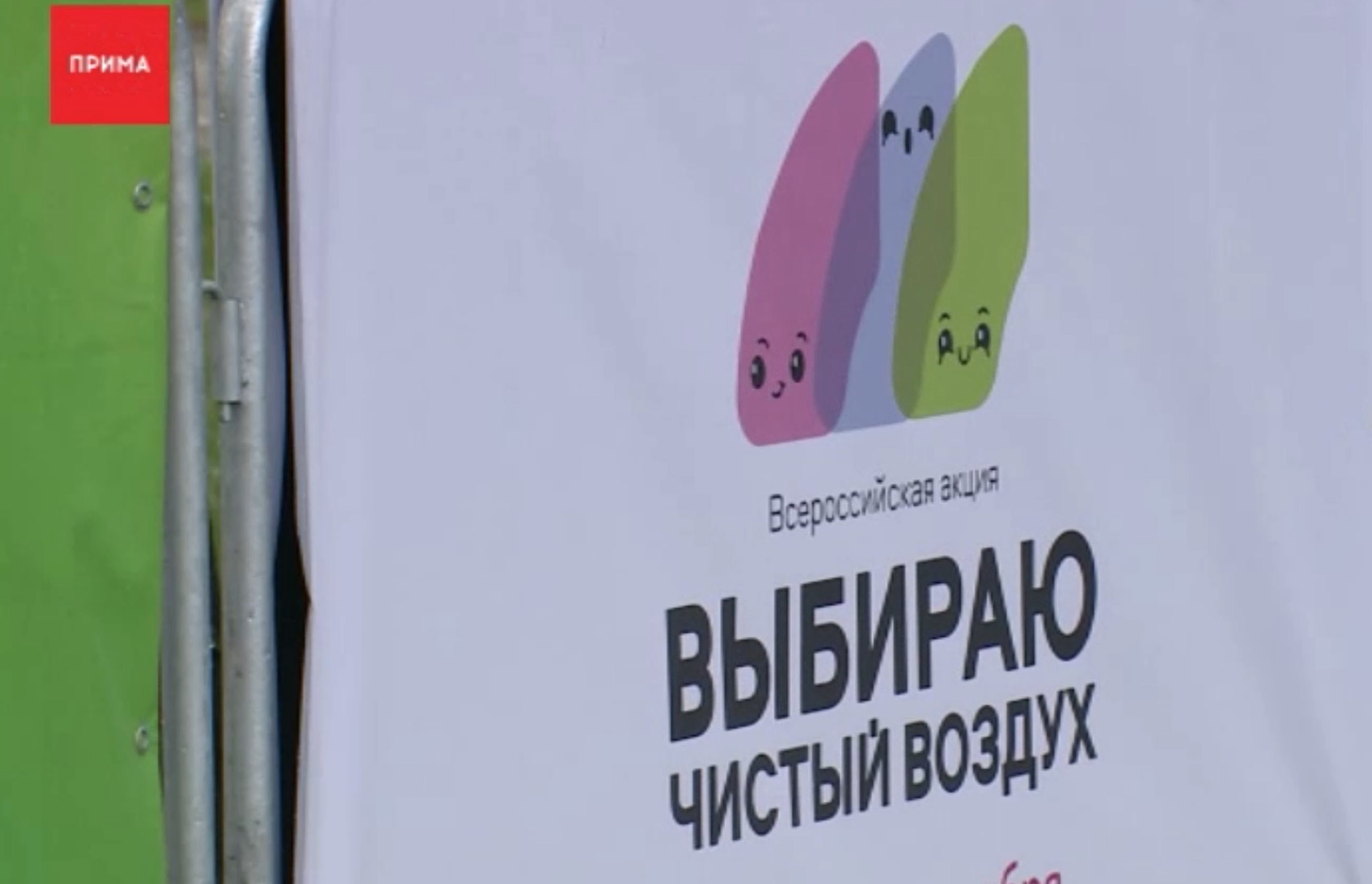 Чистые километры